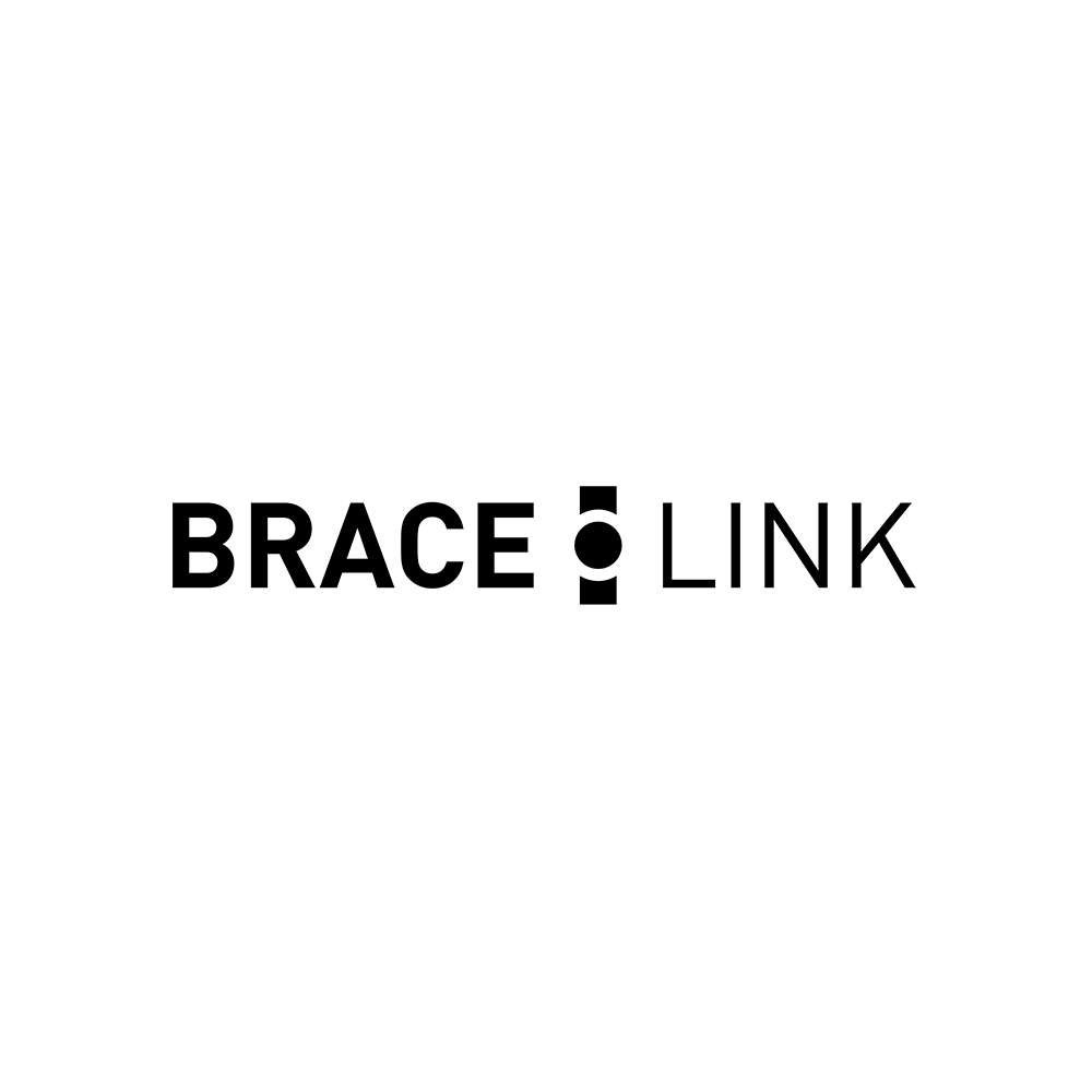 Logo_Sammlung_BRACE-LINK.png